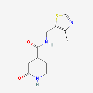 molecular formula C11H15N3O2S B7410854 N-[(4-methyl-1,3-thiazol-5-yl)methyl]-2-oxopiperidine-4-carboxamide 