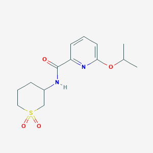 molecular formula C14H20N2O4S B7411108 N-(1,1-dioxothian-3-yl)-6-propan-2-yloxypyridine-2-carboxamide 