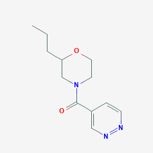 (2-Propylmorpholin-4-yl)-pyridazin-4-ylmethanone