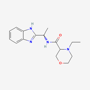 molecular formula C16H22N4O2 B7412946 N-[(1S)-1-(1H-benzimidazol-2-yl)ethyl]-4-ethylmorpholine-3-carboxamide 