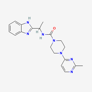 molecular formula C19H23N7O B7413463 N-[1-(1H-benzimidazol-2-yl)ethyl]-4-(2-methylpyrimidin-4-yl)piperazine-1-carboxamide 