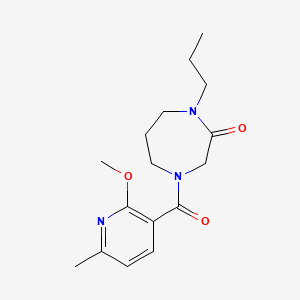 molecular formula C16H23N3O3 B7413736 4-(2-Methoxy-6-methylpyridine-3-carbonyl)-1-propyl-1,4-diazepan-2-one 