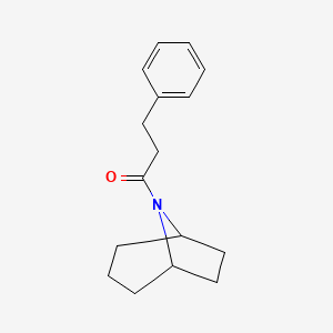 molecular formula C16H21NO B7414408 1-(8-Azabicyclo[3.2.1]octan-8-yl)-3-phenylpropan-1-one 