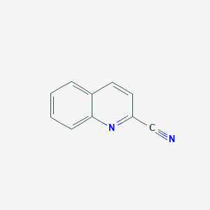 molecular formula C10H6N2 B074147 喹啉-2-腈 CAS No. 1436-43-7