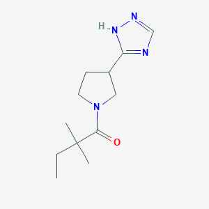 2,2-dimethyl-1-[3-(1H-1,2,4-triazol-5-yl)pyrrolidin-1-yl]butan-1-one