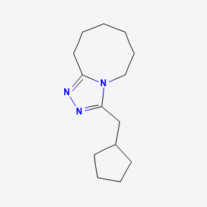 molecular formula C14H23N3 B7417929 3-(Cyclopentylmethyl)-5,6,7,8,9,10-hexahydro-[1,2,4]triazolo[4,3-a]azocine 