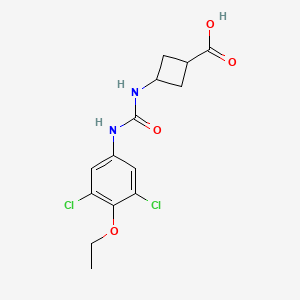 3-[(3,5-Dichloro-4-ethoxyphenyl)carbamoylamino]cyclobutane-1-carboxylic acid