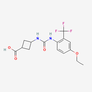 3-[[4-Ethoxy-2-(trifluoromethyl)phenyl]carbamoylamino]cyclobutane-1-carboxylic acid