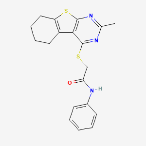 molecular formula C19H19N3OS2 B7418583 2-[(2-methyl-5,6,7,8-tetrahydro[1]benzothieno[2,3-d]pyrimidin-4-yl)sulfanyl]-N-phenylacetamide 