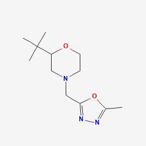 molecular formula C12H21N3O2 B7419224 2-Tert-butyl-4-[(5-methyl-1,3,4-oxadiazol-2-yl)methyl]morpholine 