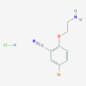 molecular formula C9H10BrClN2O B7420005 2-(2-Aminoethoxy)-5-bromobenzonitrile hydrochloride 