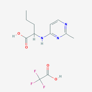 molecular formula C12H16F3N3O4 B7420117 2-[(2-Methylpyrimidin-4-yl)amino]pentanoic acid;2,2,2-trifluoroacetic acid 