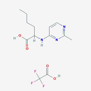 molecular formula C13H18F3N3O4 B7420162 2-[(2-Methylpyrimidin-4-yl)amino]hexanoic acid;2,2,2-trifluoroacetic acid 