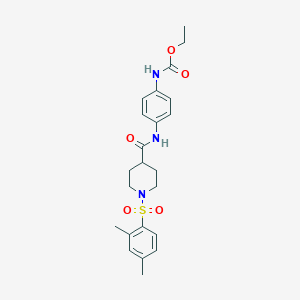 molecular formula C23H29N3O5S B7420828 ethyl N-[4-[[1-(2,4-dimethylphenyl)sulfonylpiperidine-4-carbonyl]amino]phenyl]carbamate 