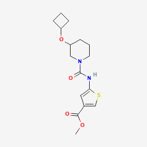 Methyl 5-[(3-cyclobutyloxypiperidine-1-carbonyl)amino]thiophene-3-carboxylate