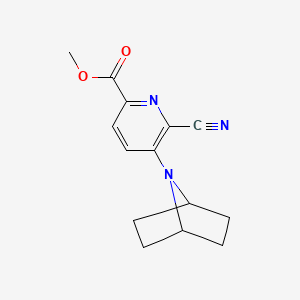 molecular formula C14H15N3O2 B7430208 Methyl 5-(7-azabicyclo[2.2.1]heptan-7-yl)-6-cyanopyridine-2-carboxylate 