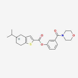 [3-(Morpholine-4-carbonyl)phenyl] 5-propan-2-yl-4,5,6,7-tetrahydro-1-benzothiophene-2-carboxylate