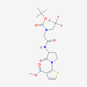 molecular formula C19H24F3N3O6S B7430850 Methyl 2-[3-[[2-[(2-methylpropan-2-yl)oxycarbonyl-(2,2,2-trifluoroethyl)amino]acetyl]amino]-2-oxopyrrolidin-1-yl]thiophene-3-carboxylate 