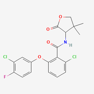 molecular formula C19H16Cl2FNO4 B7432922 2-chloro-6-(3-chloro-4-fluorophenoxy)-N-(4,4-dimethyl-2-oxooxolan-3-yl)benzamide 