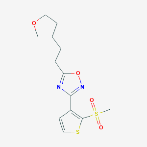 molecular formula C13H16N2O4S2 B7434352 3-(2-Methylsulfonylthiophen-3-yl)-5-[2-(oxolan-3-yl)ethyl]-1,2,4-oxadiazole 