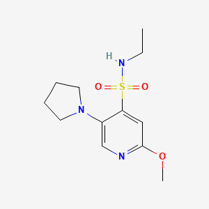 molecular formula C12H19N3O3S B7434784 N-ethyl-2-methoxy-5-pyrrolidin-1-ylpyridine-4-sulfonamide 