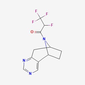 molecular formula C12H11F4N3O B7435248 2,3,3,3-Tetrafluoro-1-(4,6,12-triazatricyclo[7.2.1.02,7]dodeca-2,4,6-trien-12-yl)propan-1-one 