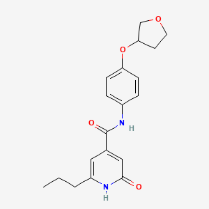 molecular formula C19H22N2O4 B7435618 2-oxo-N-[4-(oxolan-3-yloxy)phenyl]-6-propyl-1H-pyridine-4-carboxamide 