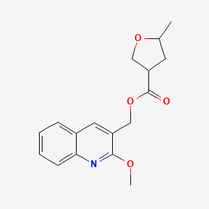 molecular formula C17H19NO4 B7436058 (2-Methoxyquinolin-3-yl)methyl 5-methyloxolane-3-carboxylate 