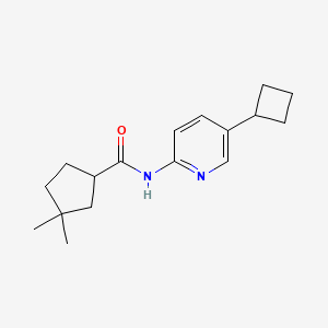 molecular formula C17H24N2O B7436361 N-(5-cyclobutylpyridin-2-yl)-3,3-dimethylcyclopentane-1-carboxamide 