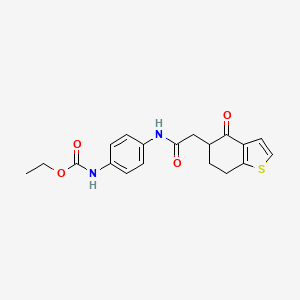 molecular formula C19H20N2O4S B7437020 ethyl N-[4-[[2-(4-oxo-6,7-dihydro-5H-1-benzothiophen-5-yl)acetyl]amino]phenyl]carbamate 