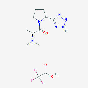 molecular formula C12H19F3N6O3 B7437052 (2R)-2-(dimethylamino)-1-[2-(2H-tetrazol-5-yl)pyrrolidin-1-yl]propan-1-one;2,2,2-trifluoroacetic acid 