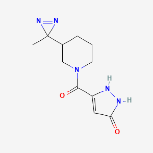 molecular formula C11H15N5O2 B7437476 5-[3-(3-Methyldiazirin-3-yl)piperidine-1-carbonyl]-1,2-dihydropyrazol-3-one 