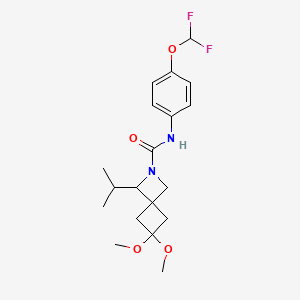 molecular formula C19H26F2N2O4 B7437637 N-[4-(difluoromethoxy)phenyl]-6,6-dimethoxy-3-propan-2-yl-2-azaspiro[3.3]heptane-2-carboxamide 