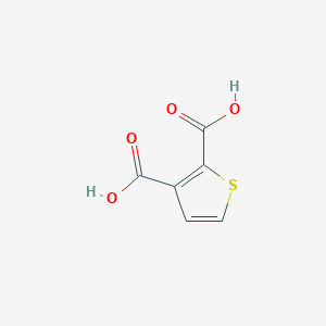 molecular formula C6H4O4S B074381 噻吩-2,3-二甲酸 CAS No. 1451-95-2