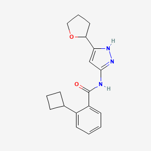 molecular formula C18H21N3O2 B7438101 2-cyclobutyl-N-[5-(oxolan-2-yl)-1H-pyrazol-3-yl]benzamide 