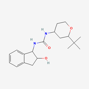 molecular formula C19H28N2O3 B7438120 1-(2-tert-butyloxan-4-yl)-3-(2-hydroxy-2,3-dihydro-1H-inden-1-yl)urea 