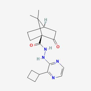 (1S,4R)-N'-(3-cyclobutylpyrazin-2-yl)-7,7-dimethyl-2-oxobicyclo[2.2.1]heptane-1-carbohydrazide