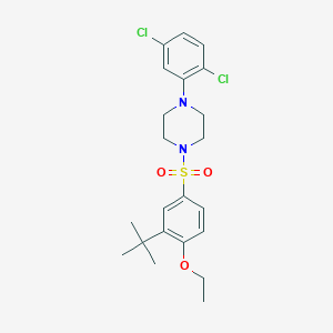 molecular formula C22H28Cl2N2O3S B7440328 1-(3-Tert-butyl-4-ethoxyphenyl)sulfonyl-4-(2,5-dichlorophenyl)piperazine 