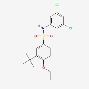 molecular formula C18H21Cl2NO3S B7440506 3-tert-butyl-N-(3,5-dichlorophenyl)-4-ethoxybenzenesulfonamide 