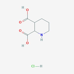 molecular formula C7H12ClNO4 B7440788 Piperidine-2,3-dicarboxylic acid hydrochloride 