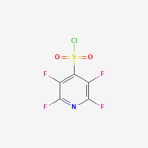 molecular formula C5ClF4NO2S B7441246 四氟吡啶-4-磺酰氯 