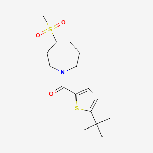 (5-Tert-butylthiophen-2-yl)-(4-methylsulfonylazepan-1-yl)methanone