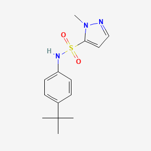 molecular formula C14H19N3O2S B7443013 N-(4-tert-butylphenyl)-2-methylpyrazole-3-sulfonamide 