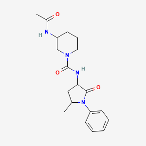 3-acetamido-N-(5-methyl-2-oxo-1-phenylpyrrolidin-3-yl)piperidine-1-carboxamide