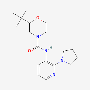 molecular formula C18H28N4O2 B7443355 2-tert-butyl-N-(2-pyrrolidin-1-ylpyridin-3-yl)morpholine-4-carboxamide 