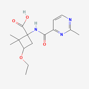 3-Ethoxy-2,2-dimethyl-1-[(2-methylpyrimidine-4-carbonyl)amino]cyclobutane-1-carboxylic acid