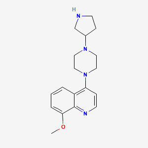 molecular formula C18H24N4O B7445034 8-Methoxy-4-(4-pyrrolidin-3-ylpiperazin-1-yl)quinoline 