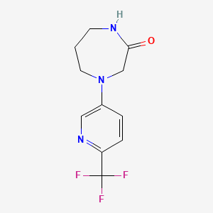 molecular formula C11H12F3N3O B7445499 4-[6-(Trifluoromethyl)pyridin-3-yl]-1,4-diazepan-2-one 