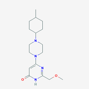 molecular formula C17H28N4O2 B7446432 2-(methoxymethyl)-4-[4-(4-methylcyclohexyl)piperazin-1-yl]-1H-pyrimidin-6-one 