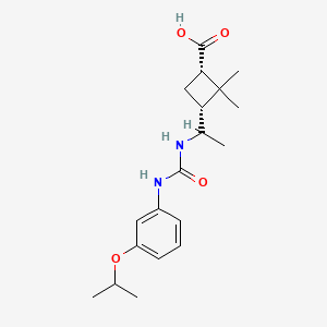 (1S,3R)-2,2-dimethyl-3-[1-[(3-propan-2-yloxyphenyl)carbamoylamino]ethyl]cyclobutane-1-carboxylic acid